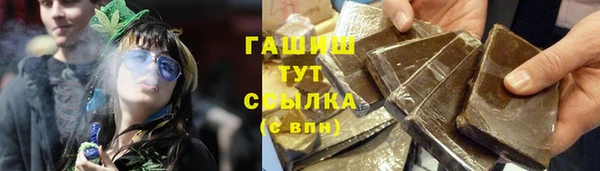 гашик Алексеевка