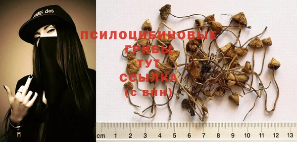 гашик Алексеевка