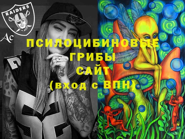 гашик Алексеевка
