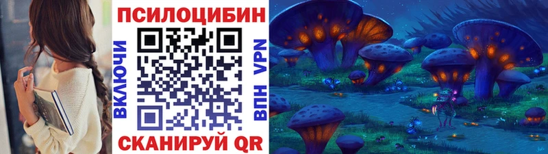 Галлюциногенные грибы Psilocybine cubensis  kraken ссылки  Далматово 